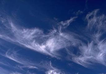 Genus Cirrocumulus Clouds